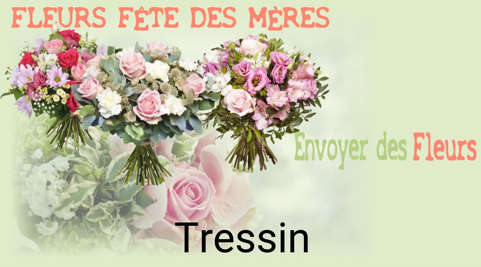 Bouquet de Fête des Mères livré à Tressin